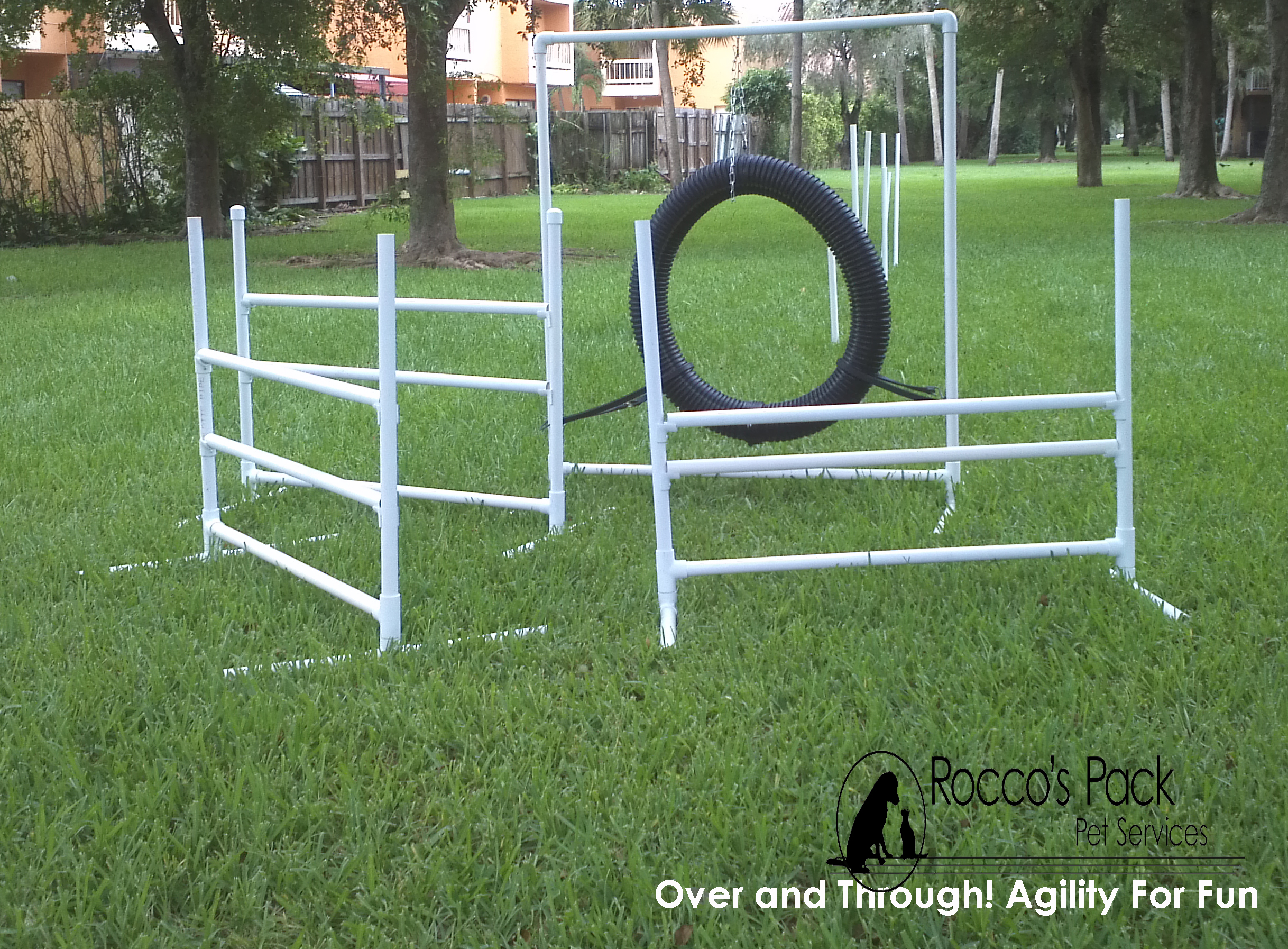 Agility for Fun and Fitness