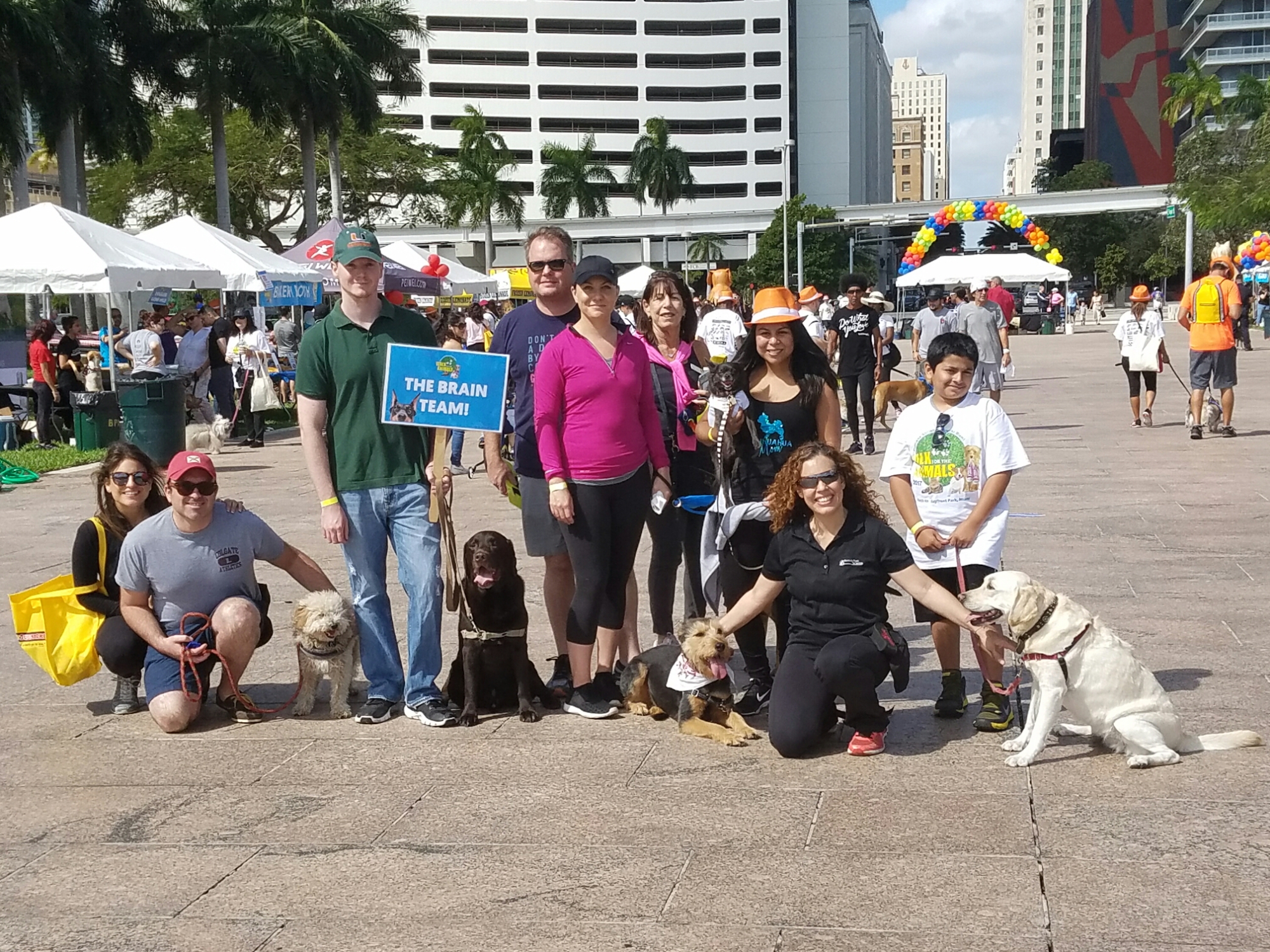 2017 Walk for the Animals Benefiting the Humane Society of Greater Miami