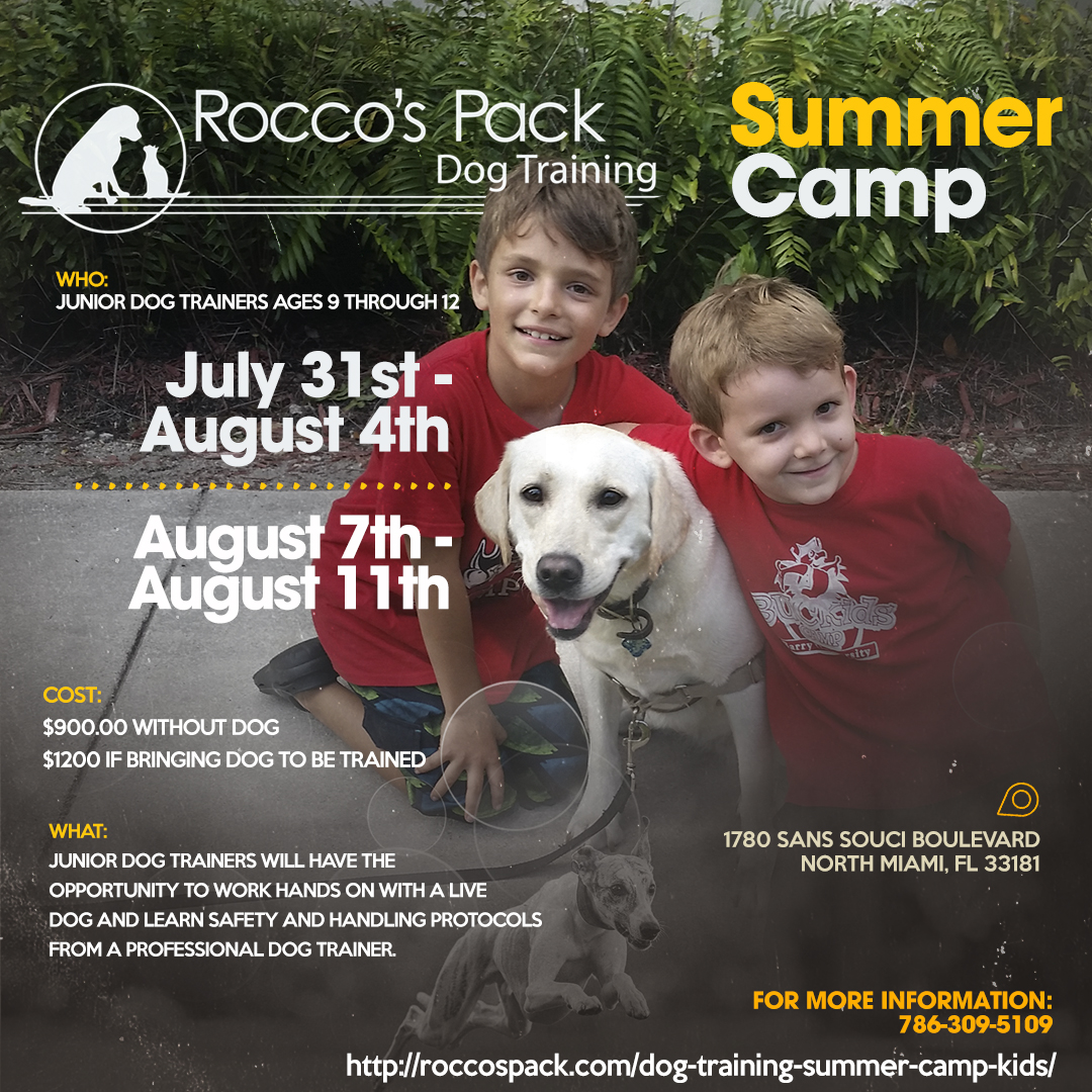 Dog Training Summer Camp Program for Kids